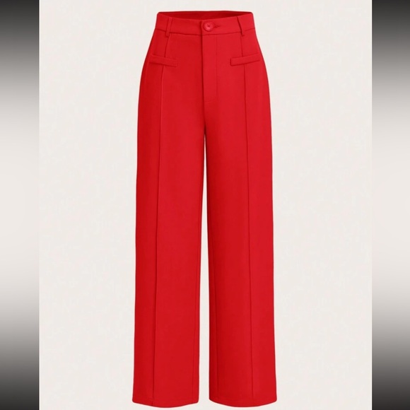 CHIC DRESS PANTS - Picture 1 of 2